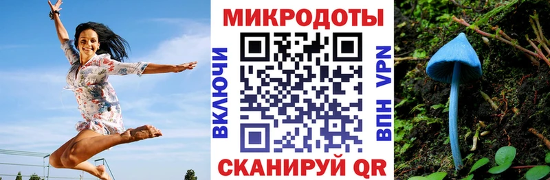 блэк спрут вход Вязьма Псилоцибиновые грибы Psilocybine cubensis